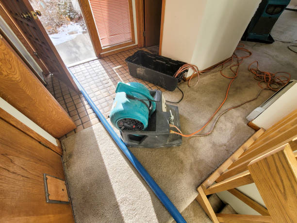 Best Basement water damage restoration  in Bellaire, TX
